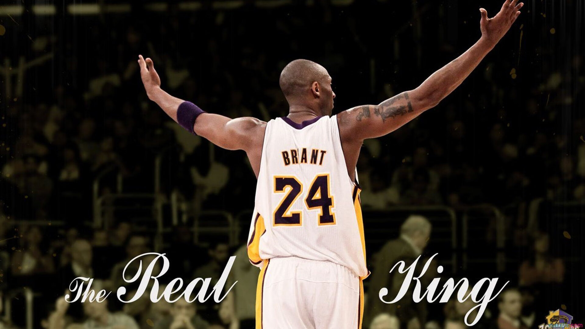 世界冰球:加拿大队霸气夺冠,金牌在望!,加拿大冰球阵容